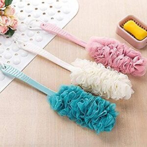 body brush